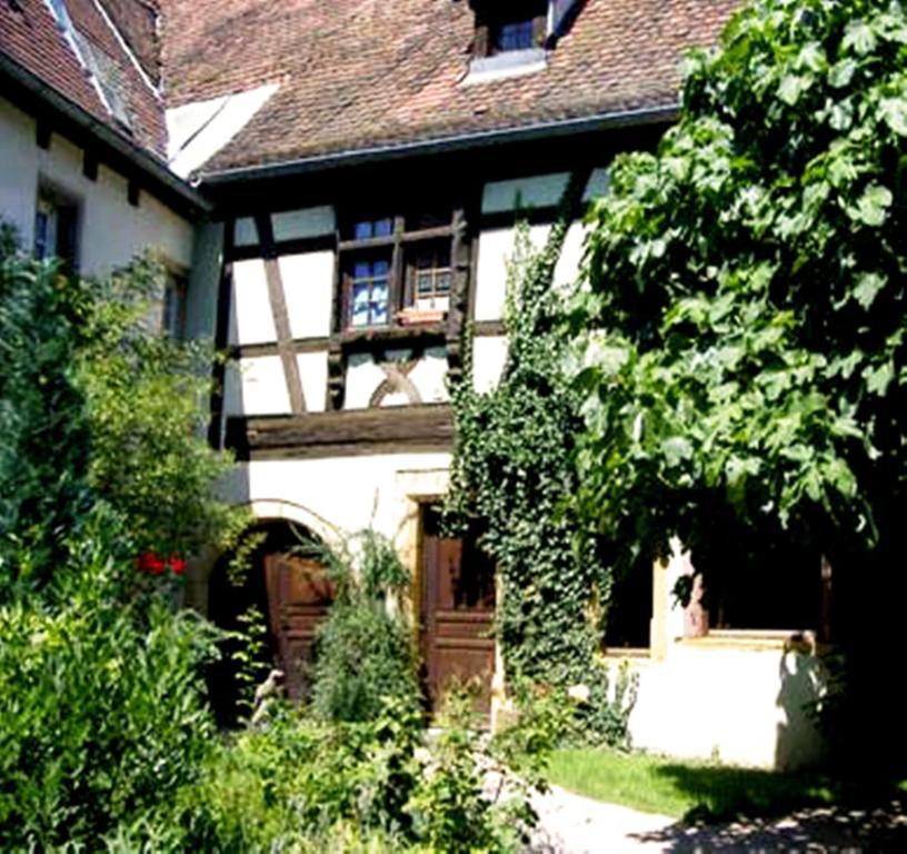 Appartement La Grenouille à Turckheim Extérieur photo